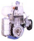 Automotive Two Stroke Single Cylinder Petrol Engine Model AM 132