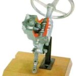 Automotive Worm & Roller Gear, Sectioned Model AM 089