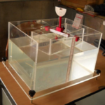 Stability Of A Floating Body Apparatus MODEL FM 11