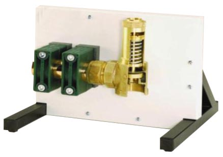 Sectioned Steam Pressure Relief Valve BSG 001